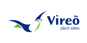 Vireo